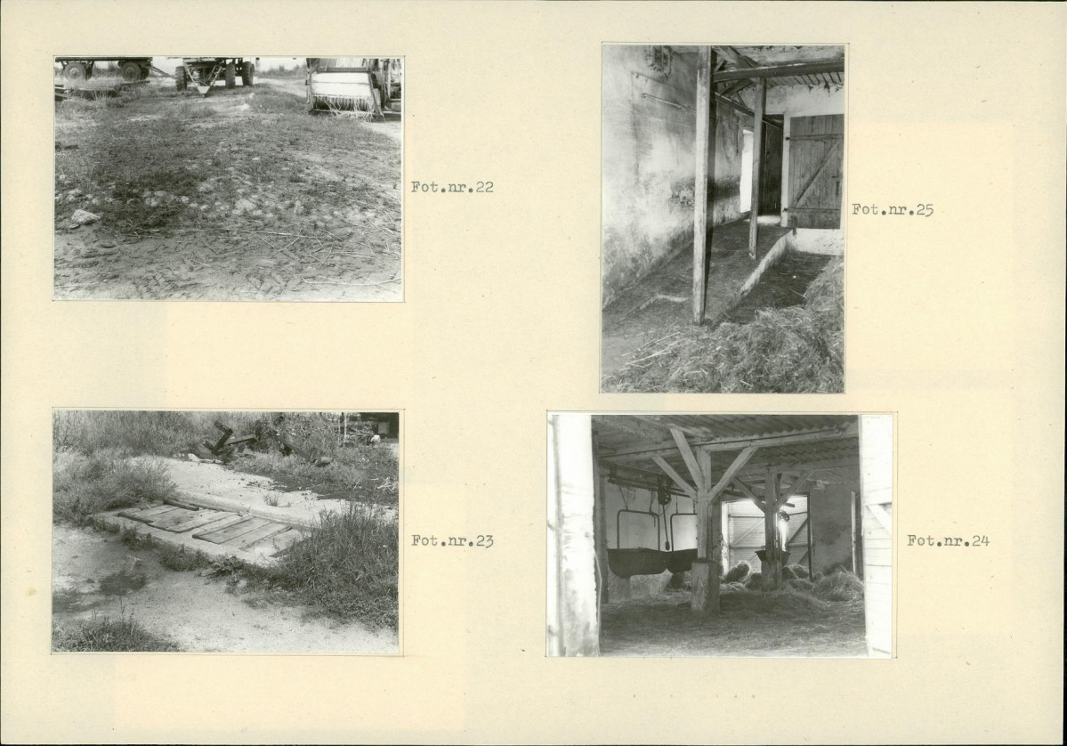 Karta biała, skan nr 14