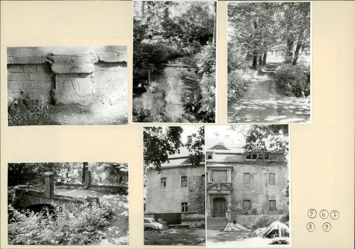 Karta biała, skan nr 8