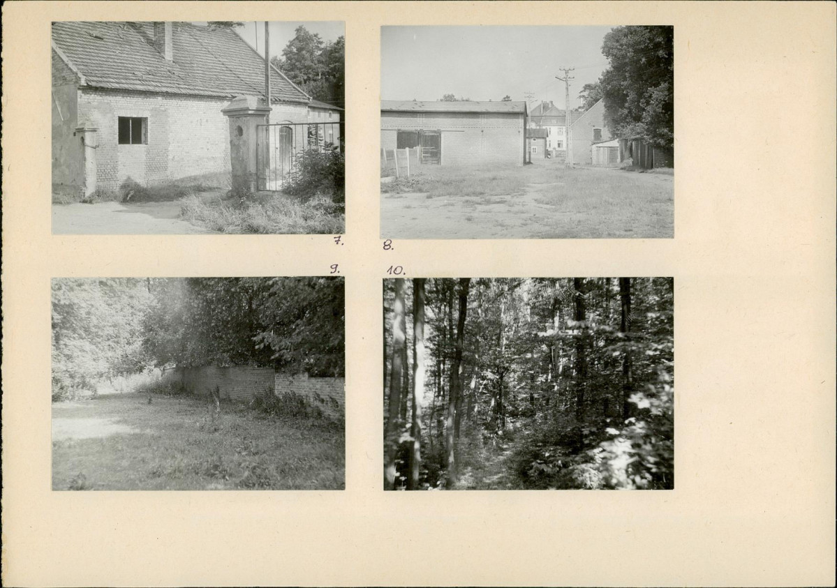 Karta biała, skan nr 10