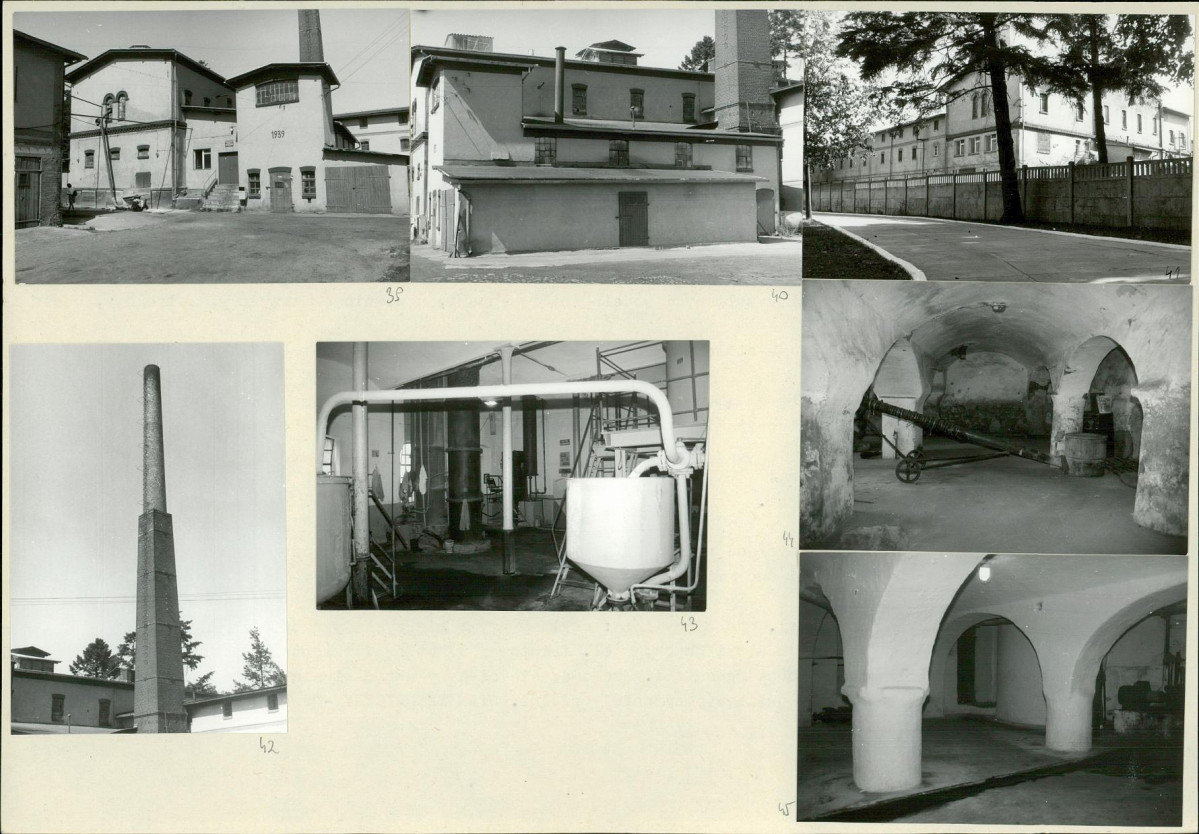 Karta biała, skan nr 18