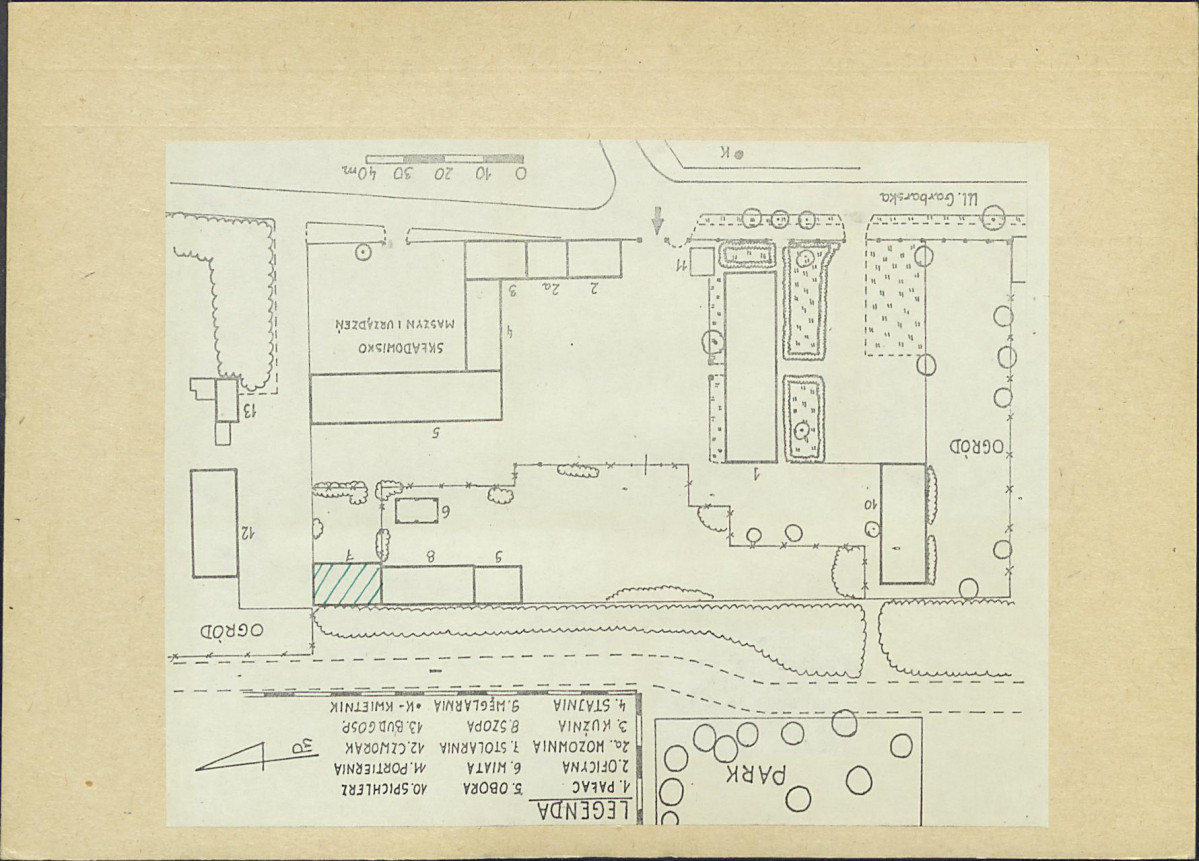 Karta biała, skan nr 6