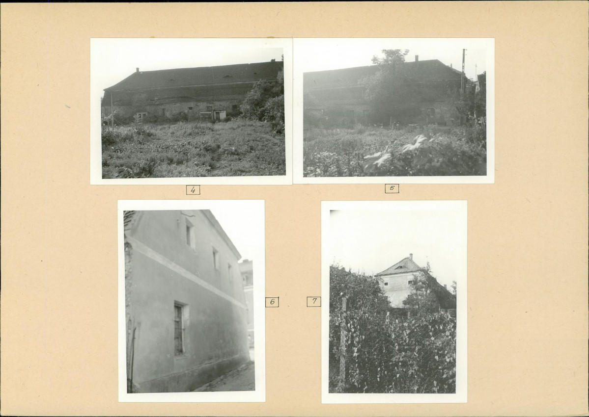 Karta biała, skan nr 8