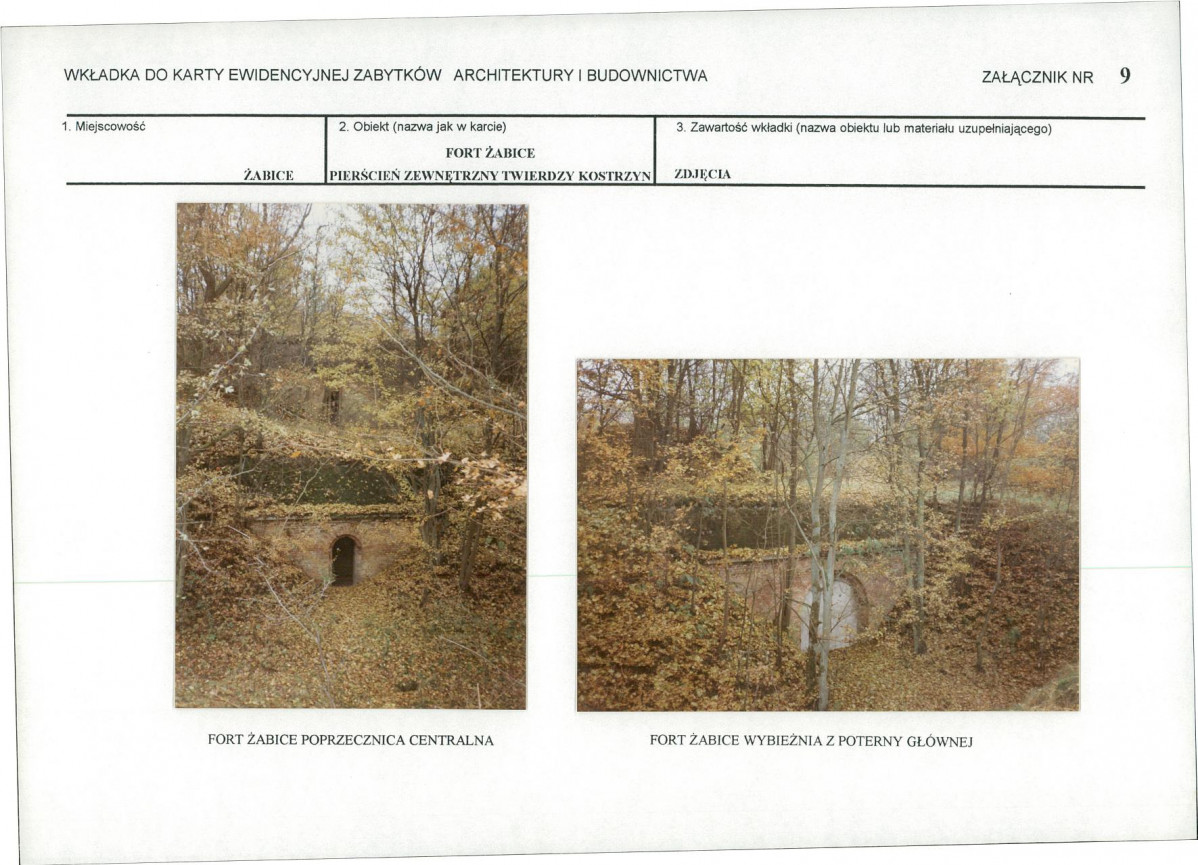 Karta biała, skan nr 14