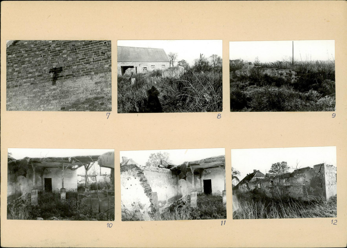 Karta biała, skan nr 6