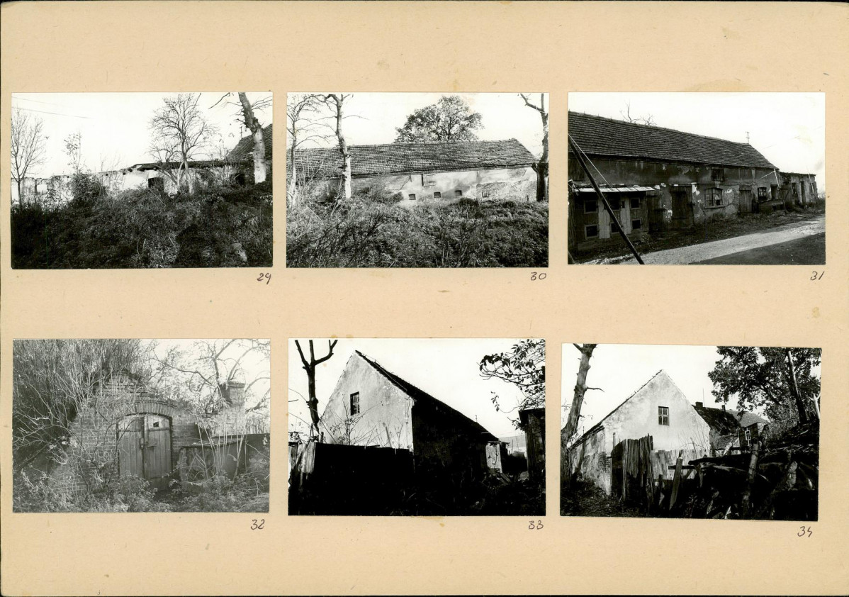 Karta biała, skan nr 10