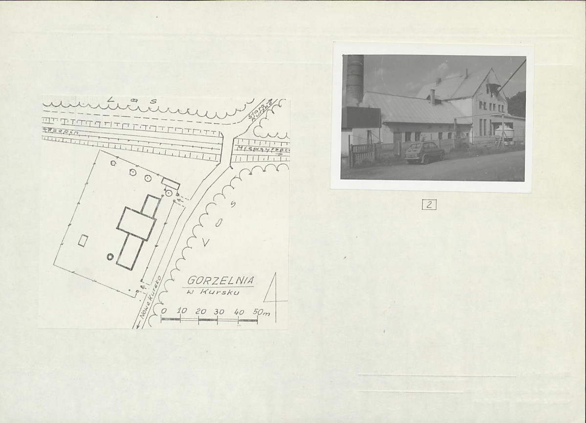 Karta biała, skan nr 6