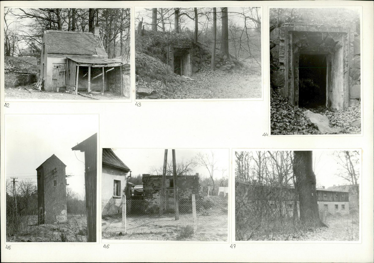 Karta biała, skan nr 20