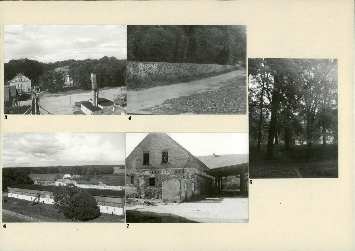 Karta biała, skan nr 10