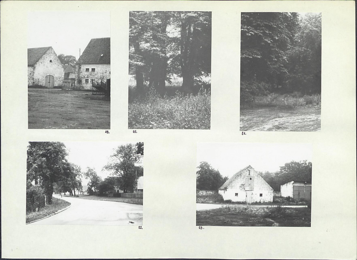 Karta biała, skan nr 10