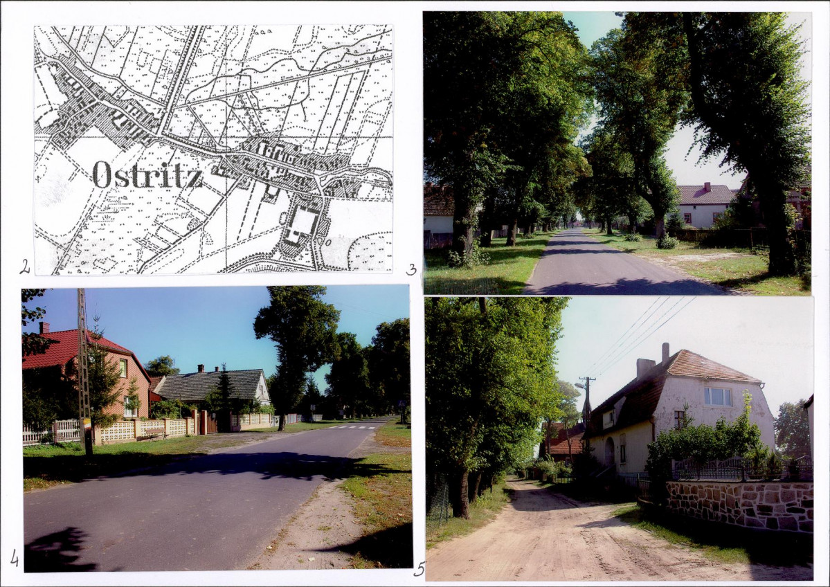 Karta biała, skan nr 6