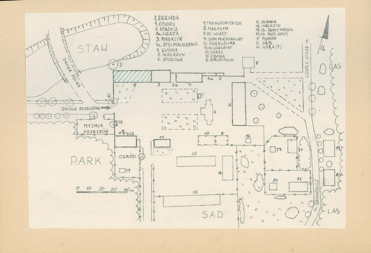Karta biała, skan nr 6