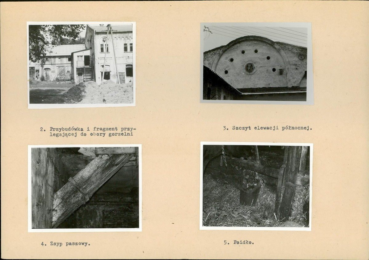 Karta biała, skan nr 6
