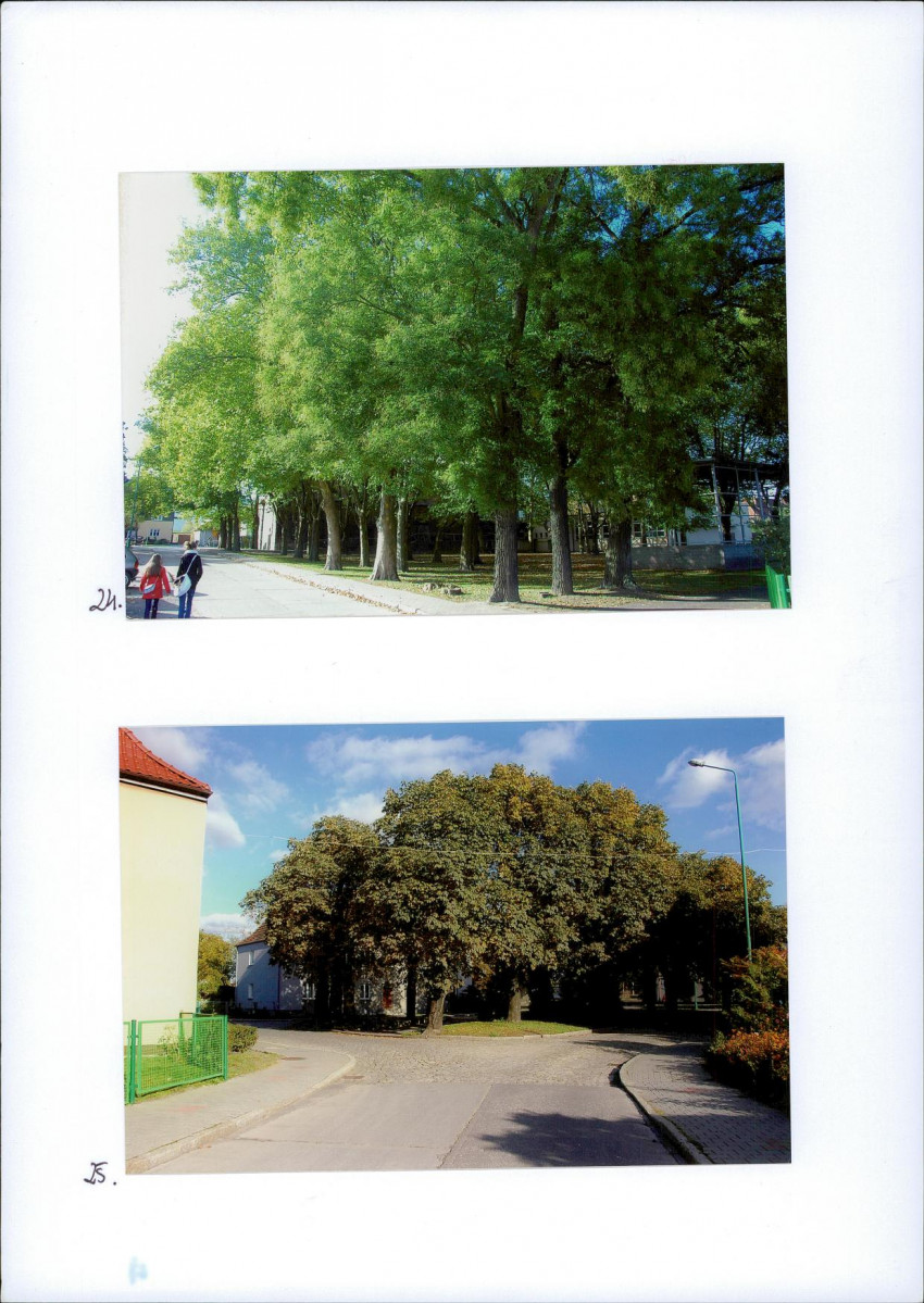 Karta biała, skan nr 16