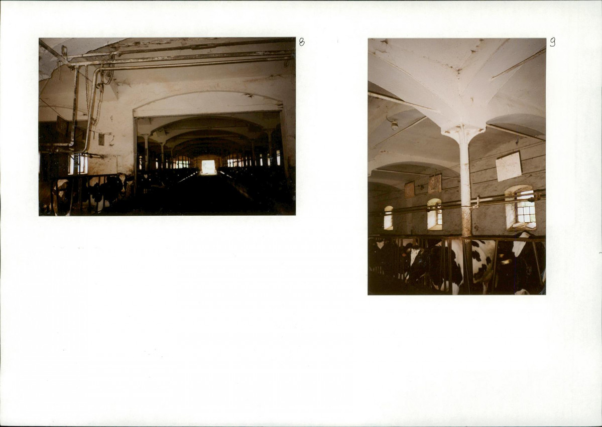 Karta biała, skan nr 8