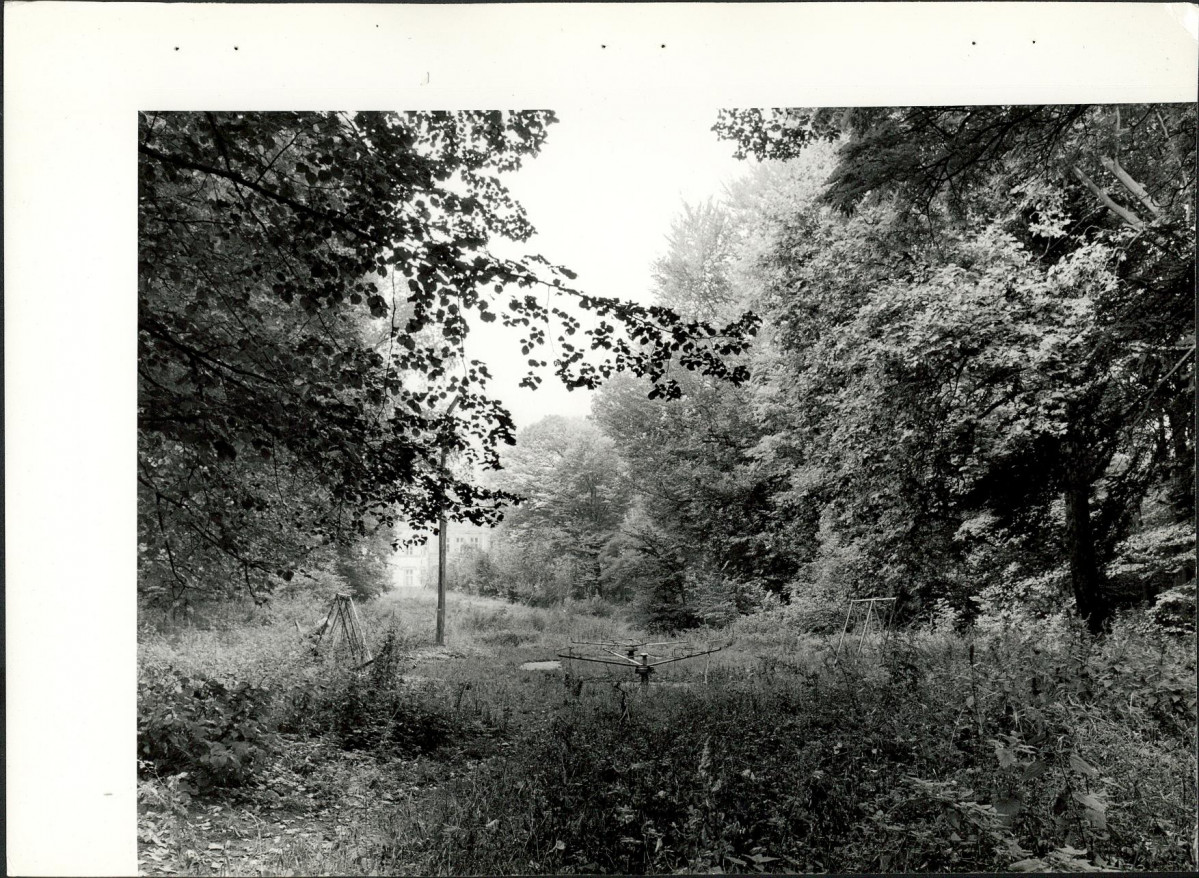 Ewidencja parkowa, skan nr 21
