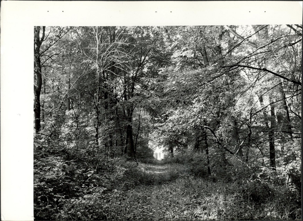 Ewidencja parkowa, skan nr 25