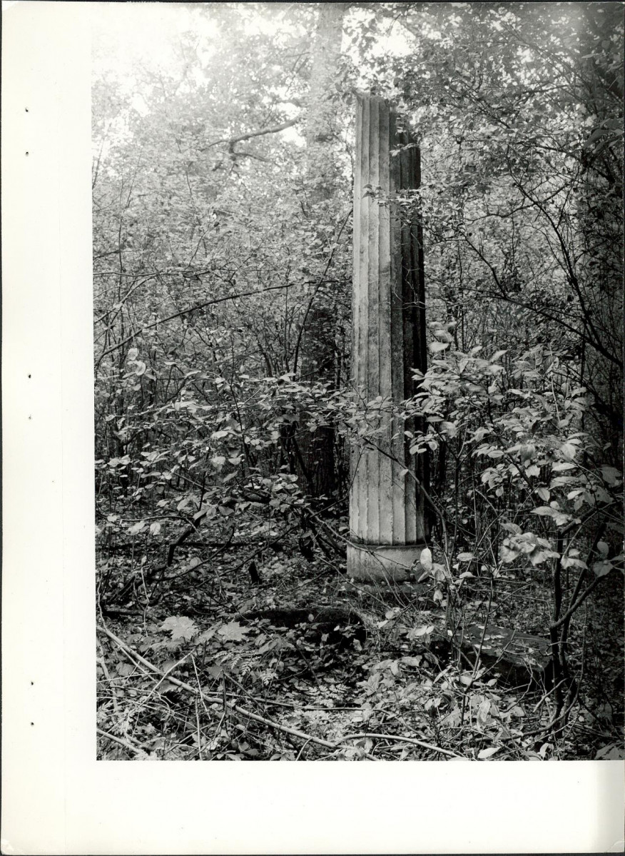 Ewidencja parkowa, skan nr 29