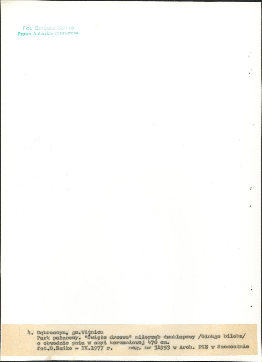 Ewidencja parkowa, skan nr 24
