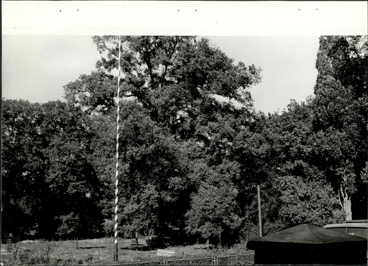 Ewidencja parkowa, skan nr 26