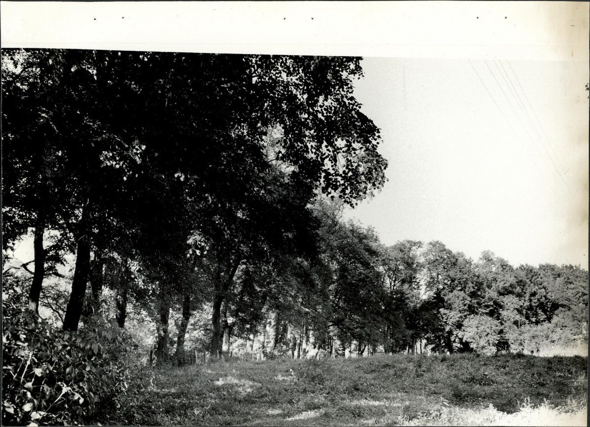 Ewidencja parkowa, skan nr 28