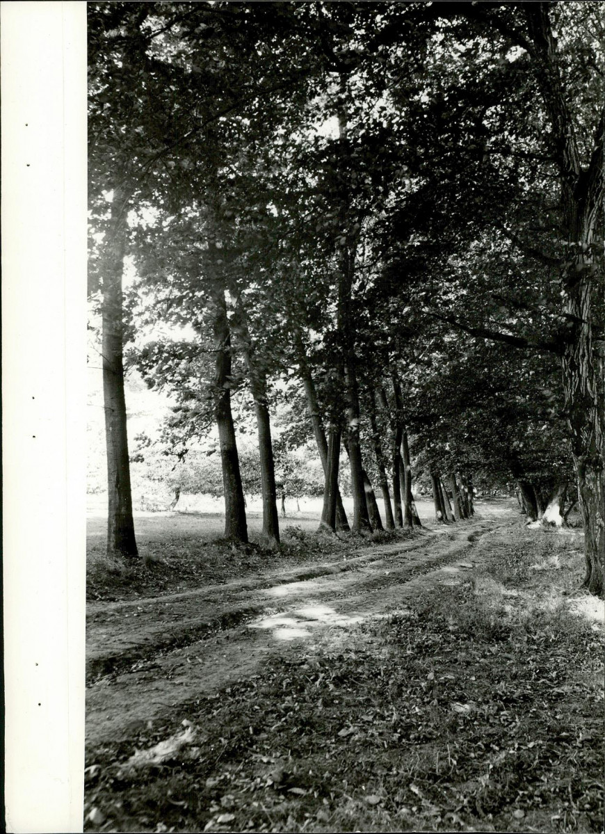 Ewidencja parkowa, skan nr 30