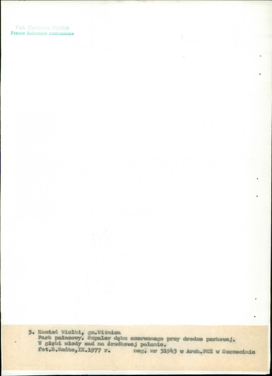 Ewidencja parkowa, skan nr 31