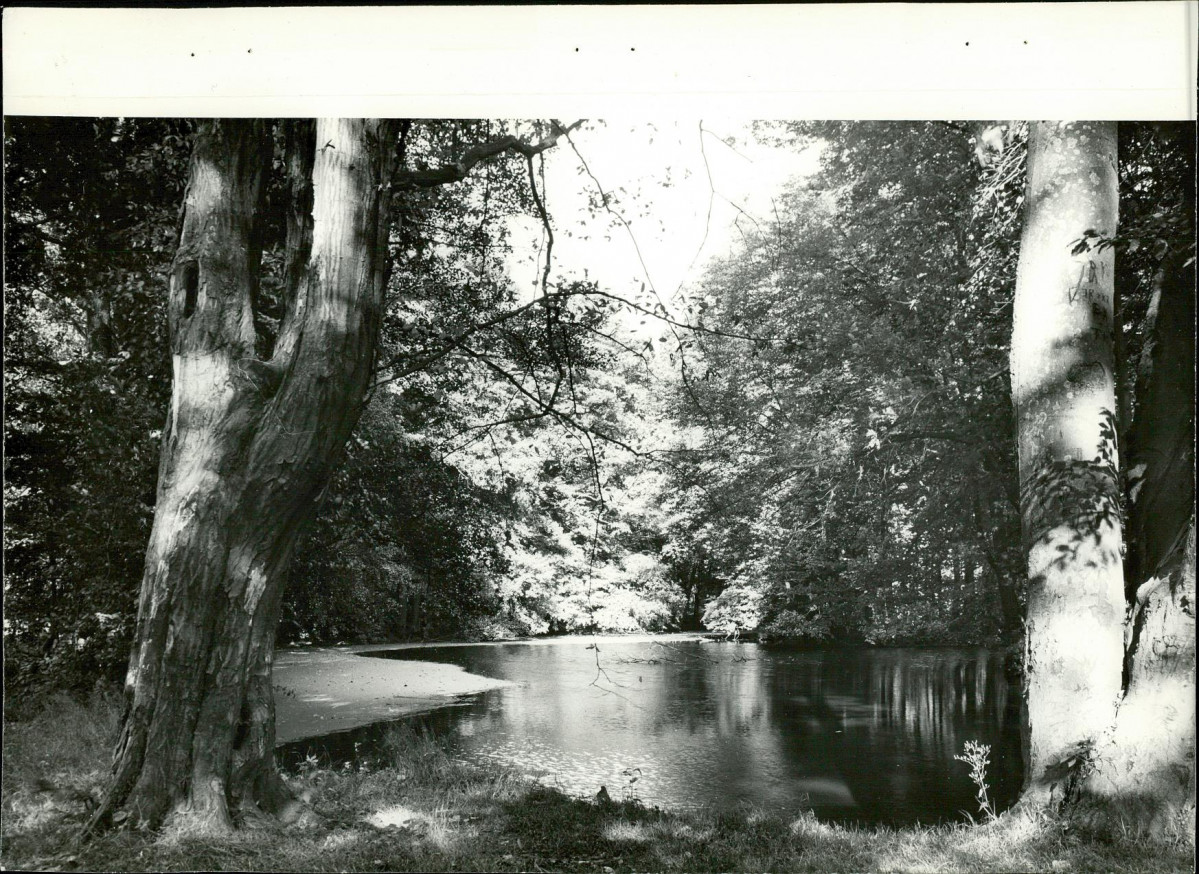 Ewidencja parkowa, skan nr 32