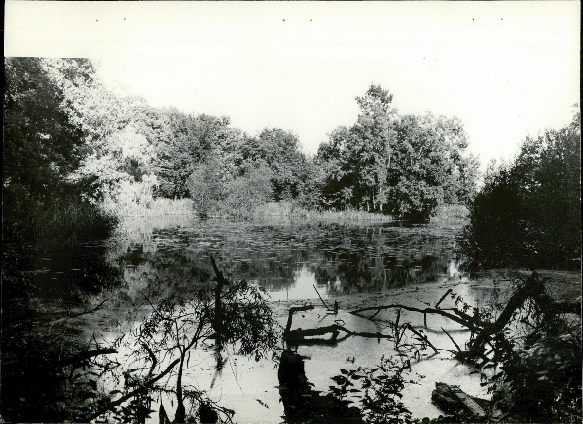 Ewidencja parkowa, skan nr 34