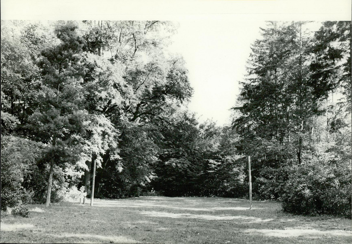 Ewidencja parkowa, skan nr 38