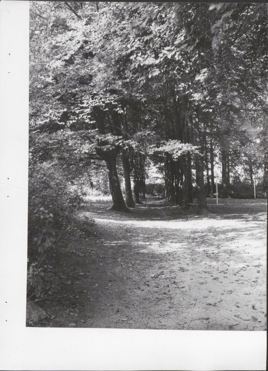 Ewidencja parkowa, skan nr 25