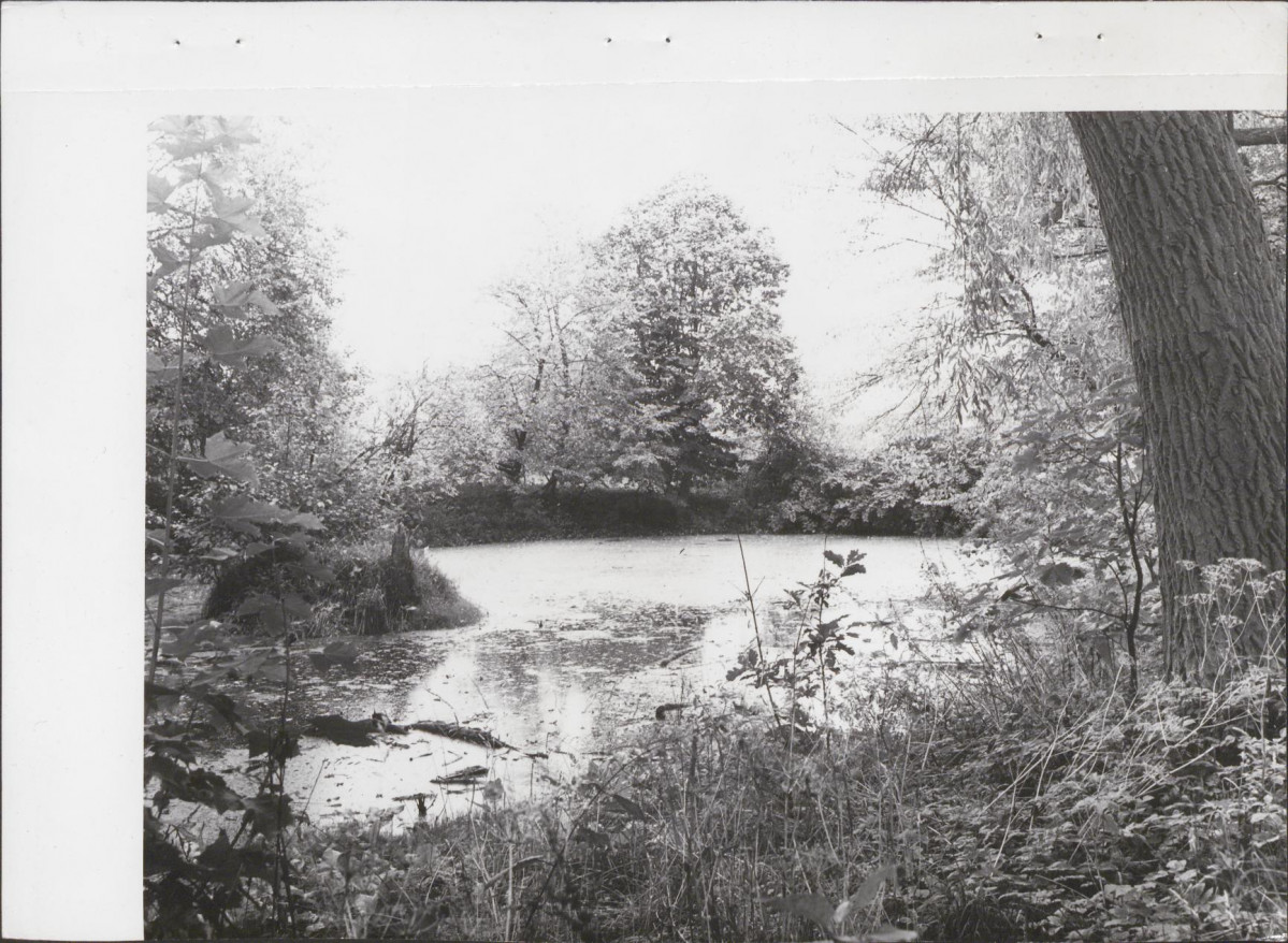 Ewidencja parkowa, skan nr 31
