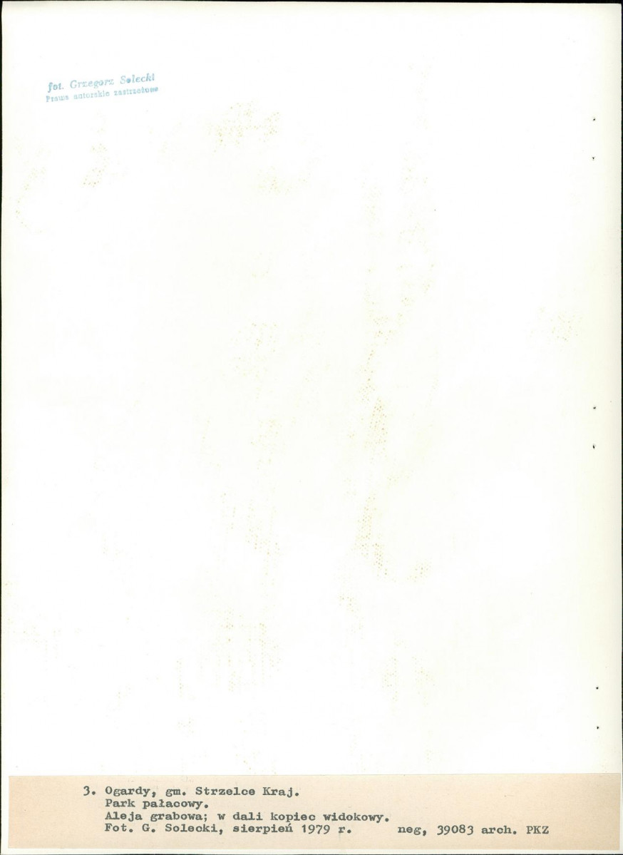 Ewidencja parkowa, skan nr 28