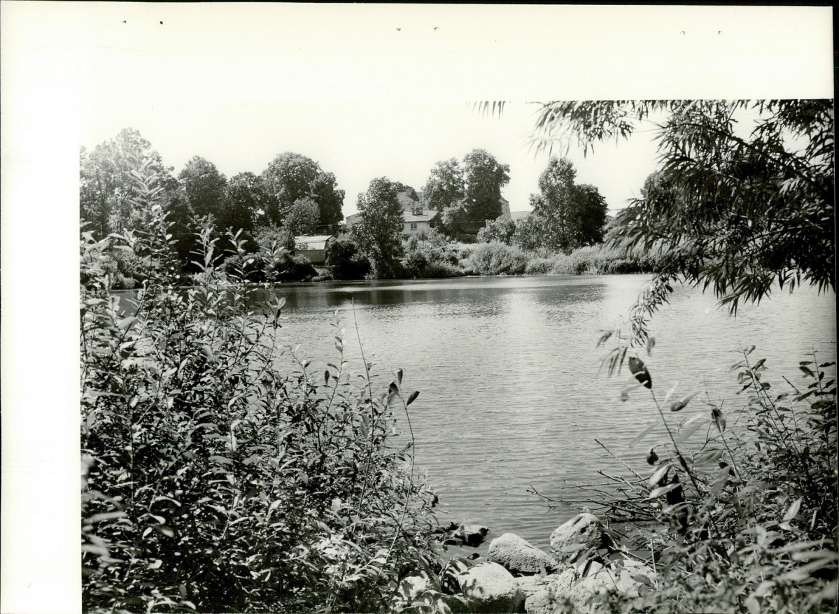 Ewidencja parkowa, skan nr 37