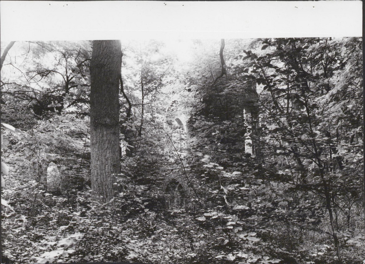 Ewidencja parkowa, skan nr 49
