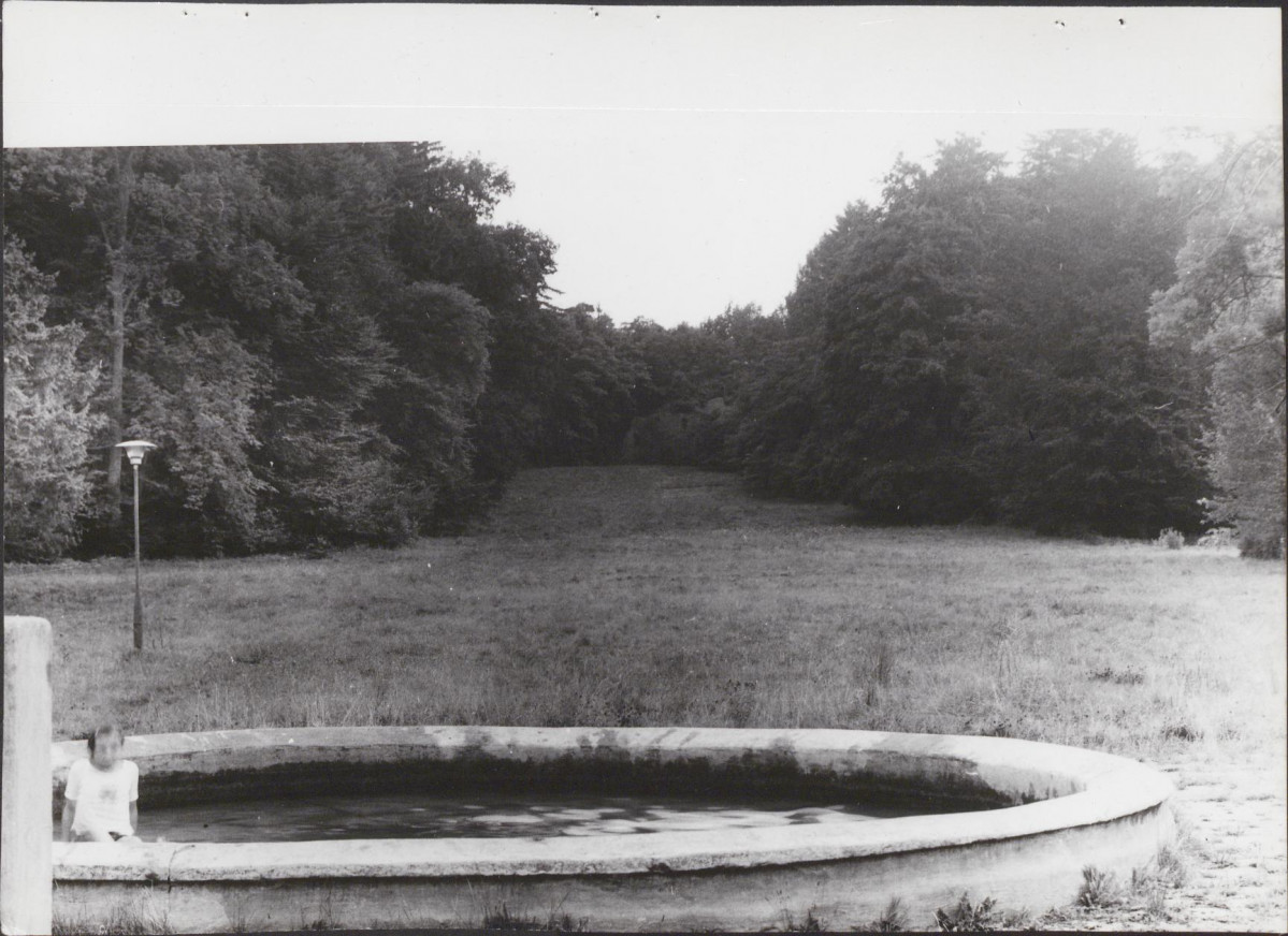 Ewidencja parkowa, skan nr 51