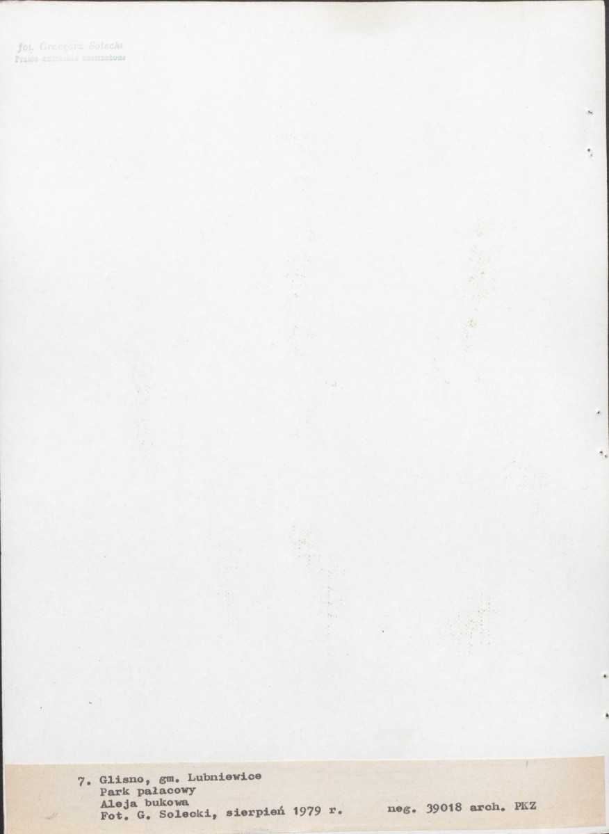 Ewidencja parkowa, skan nr 56