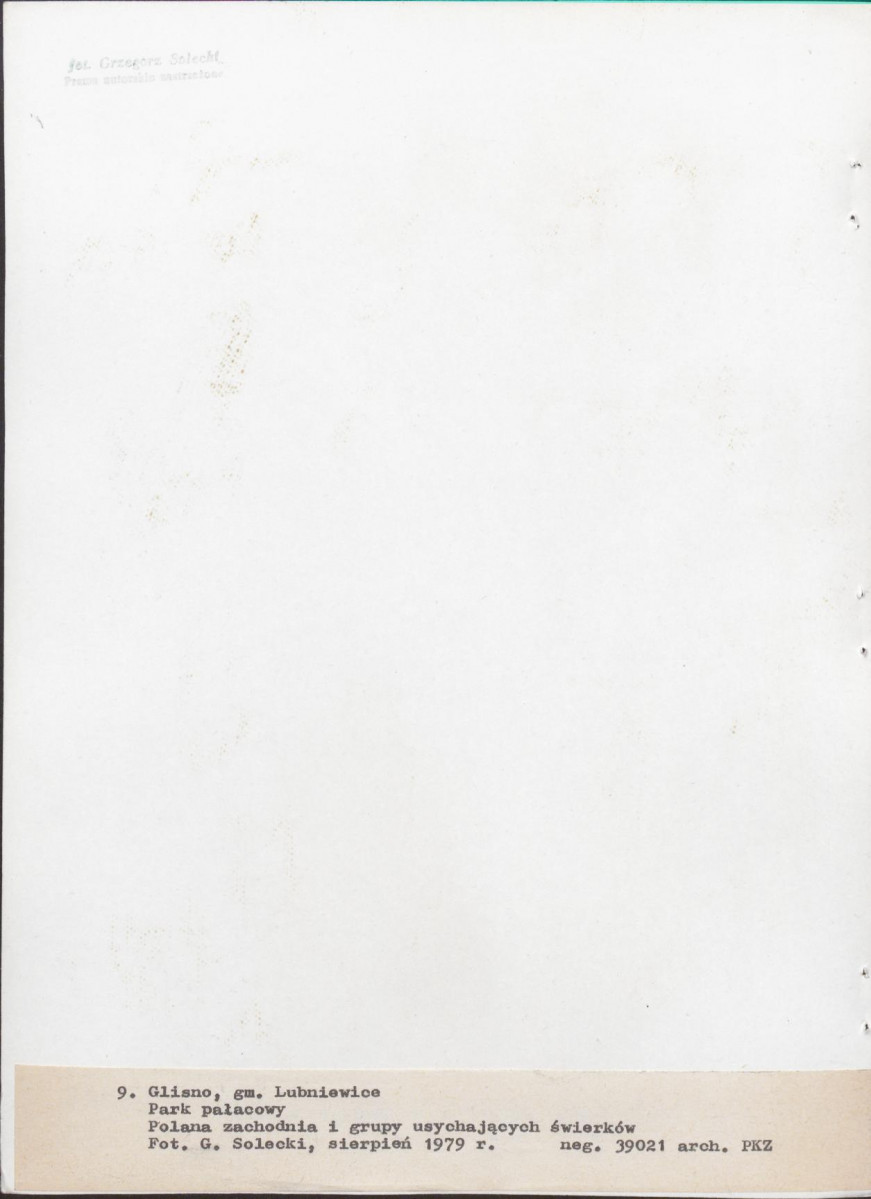 Ewidencja parkowa, skan nr 60