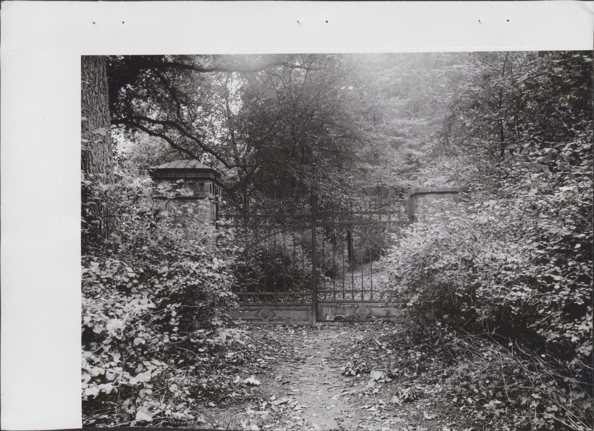 Ewidencja parkowa, skan nr 29
