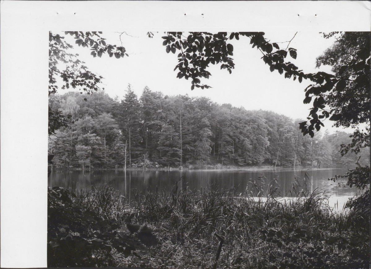 Ewidencja parkowa, skan nr 35