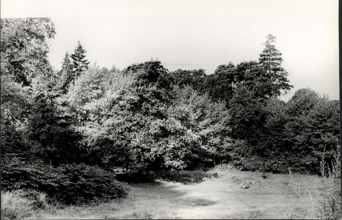 Ewidencja parkowa, skan nr 25