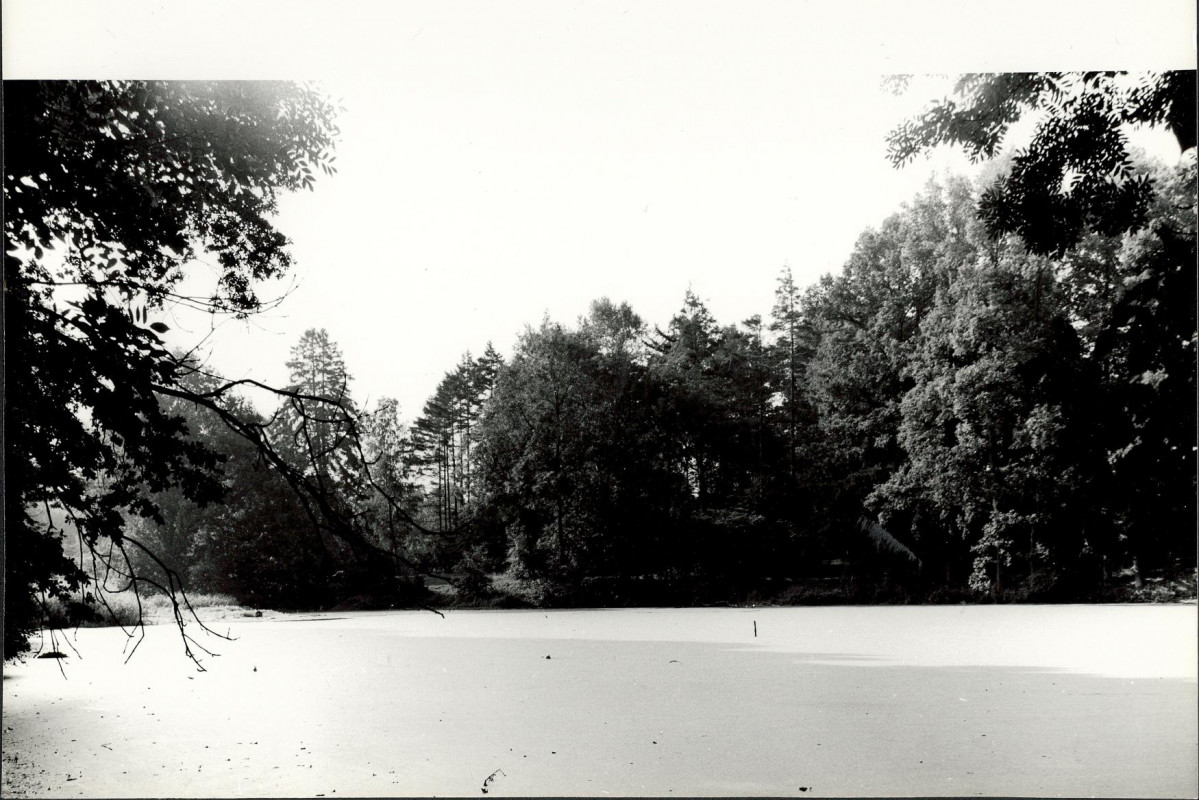 Ewidencja parkowa, skan nr 29
