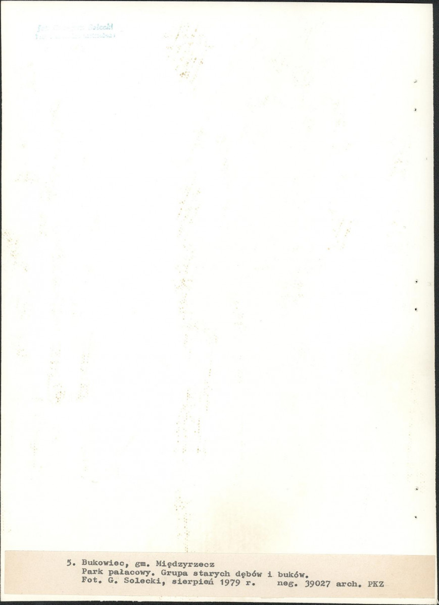 Ewidencja parkowa, skan nr 32