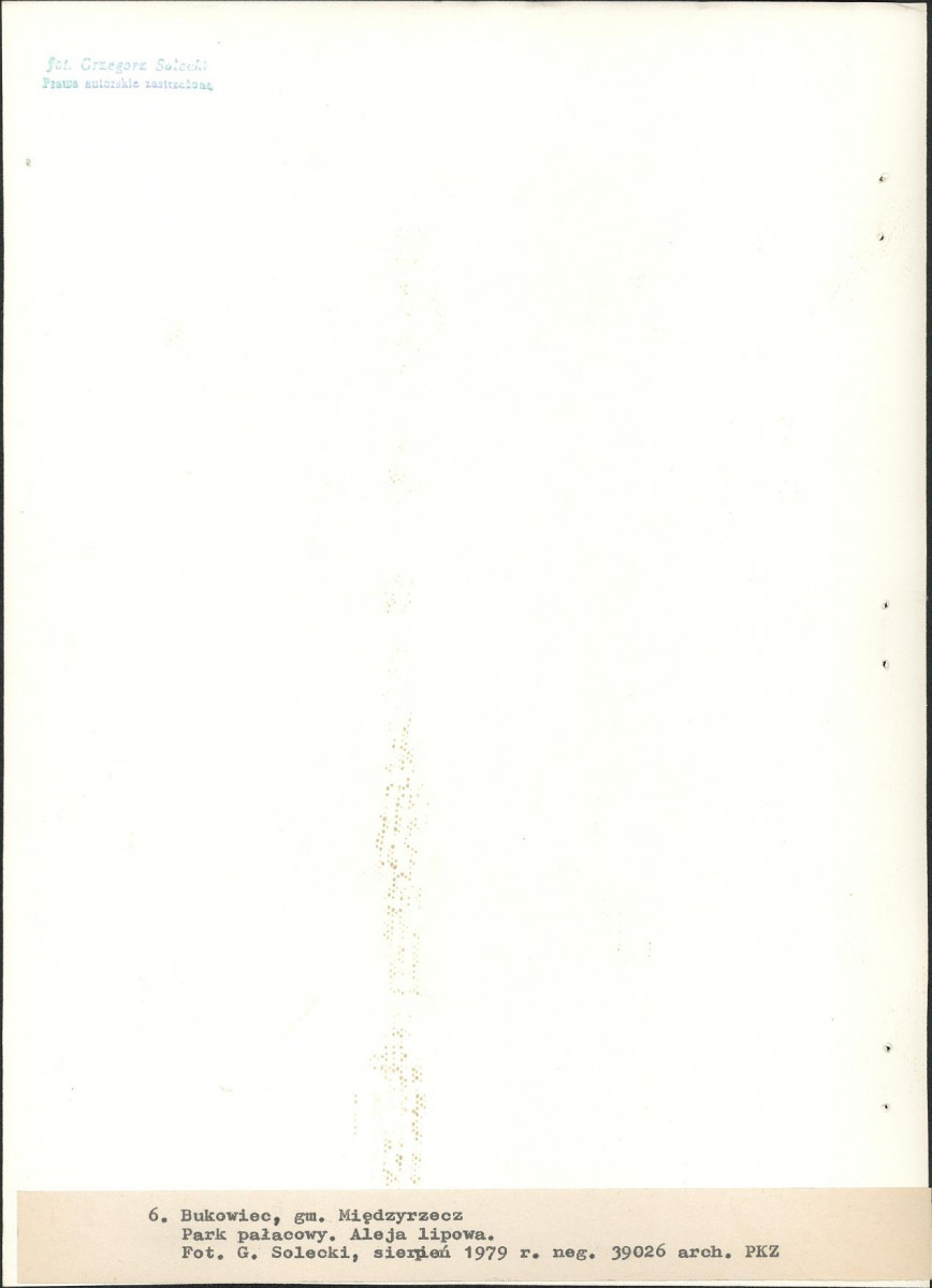 Ewidencja parkowa, skan nr 34