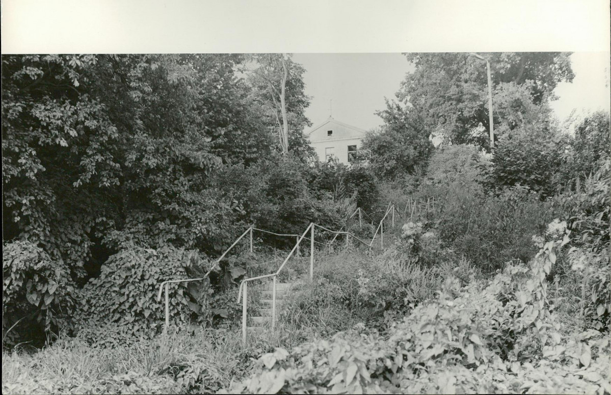 Ewidencja parkowa, skan nr 28