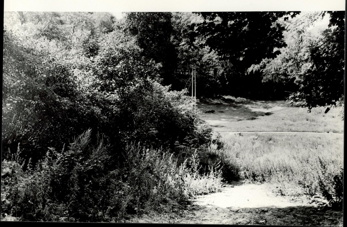 Ewidencja parkowa, skan nr 29