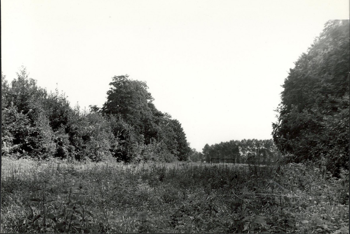 Ewidencja parkowa, skan nr 32