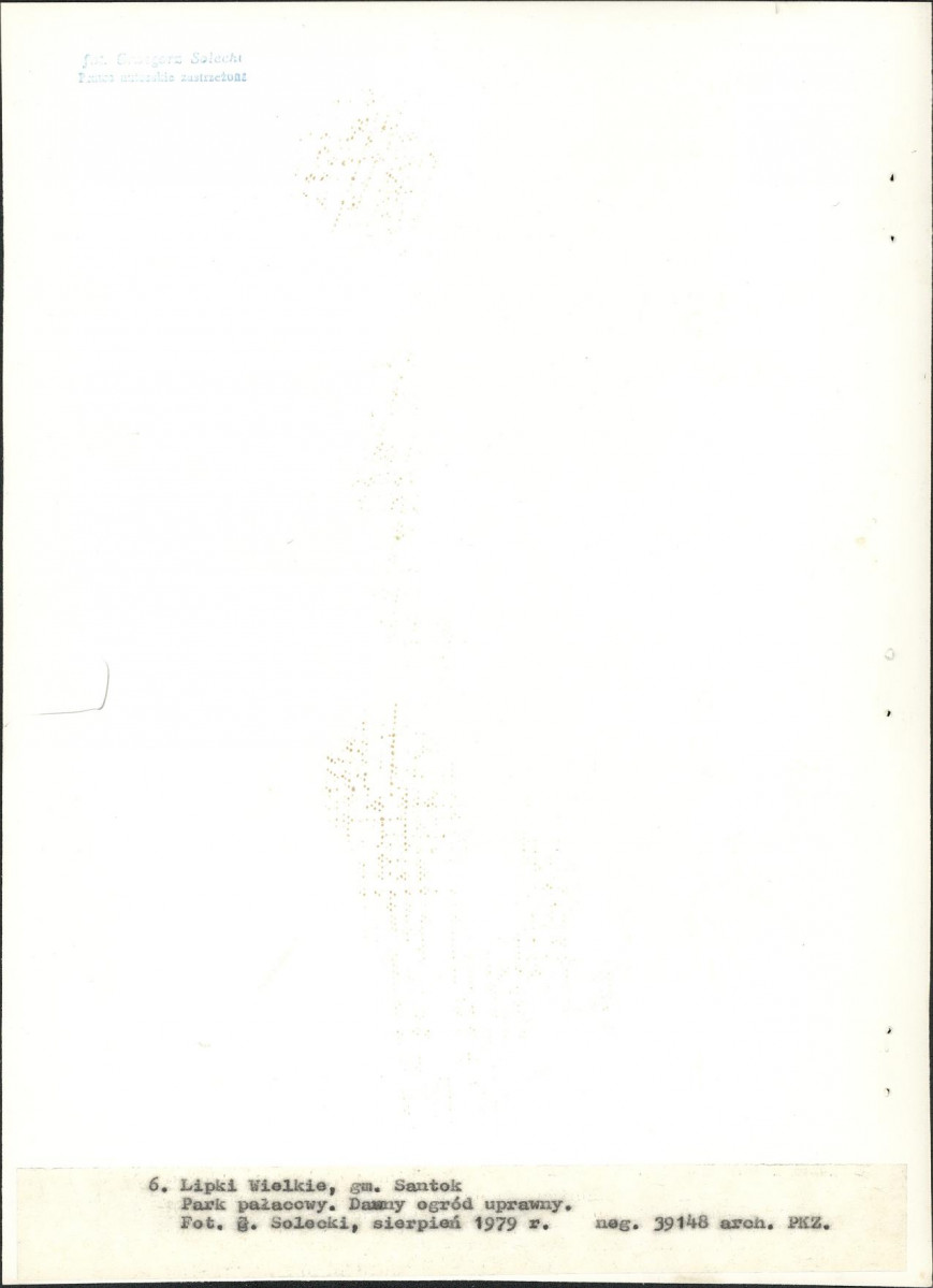 Ewidencja parkowa, skan nr 33