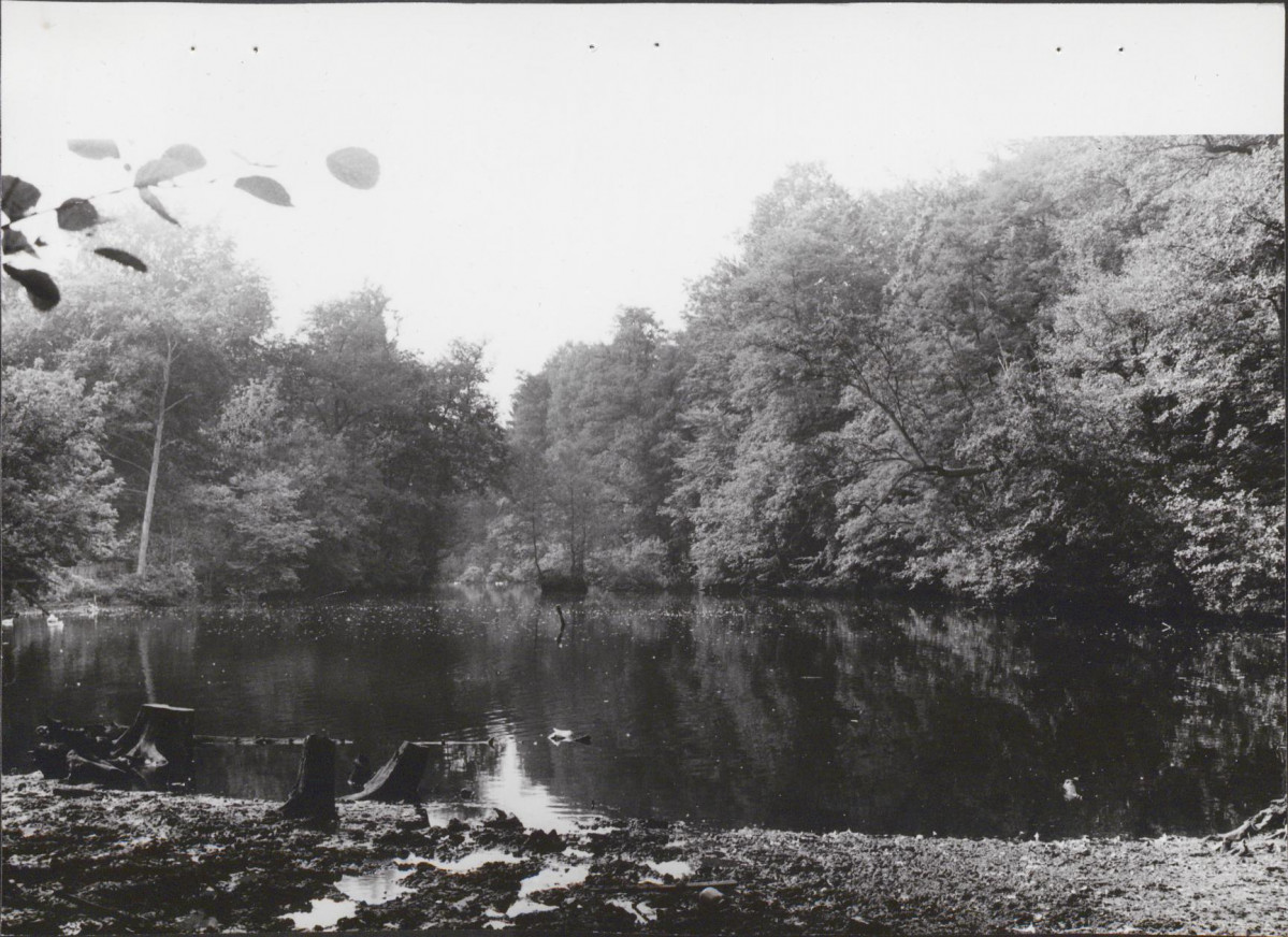 Ewidencja parkowa, skan nr 29
