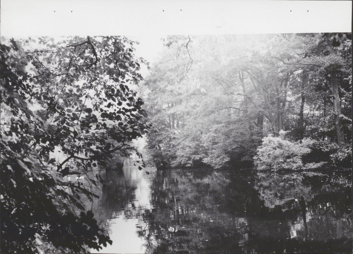 Ewidencja parkowa, skan nr 31