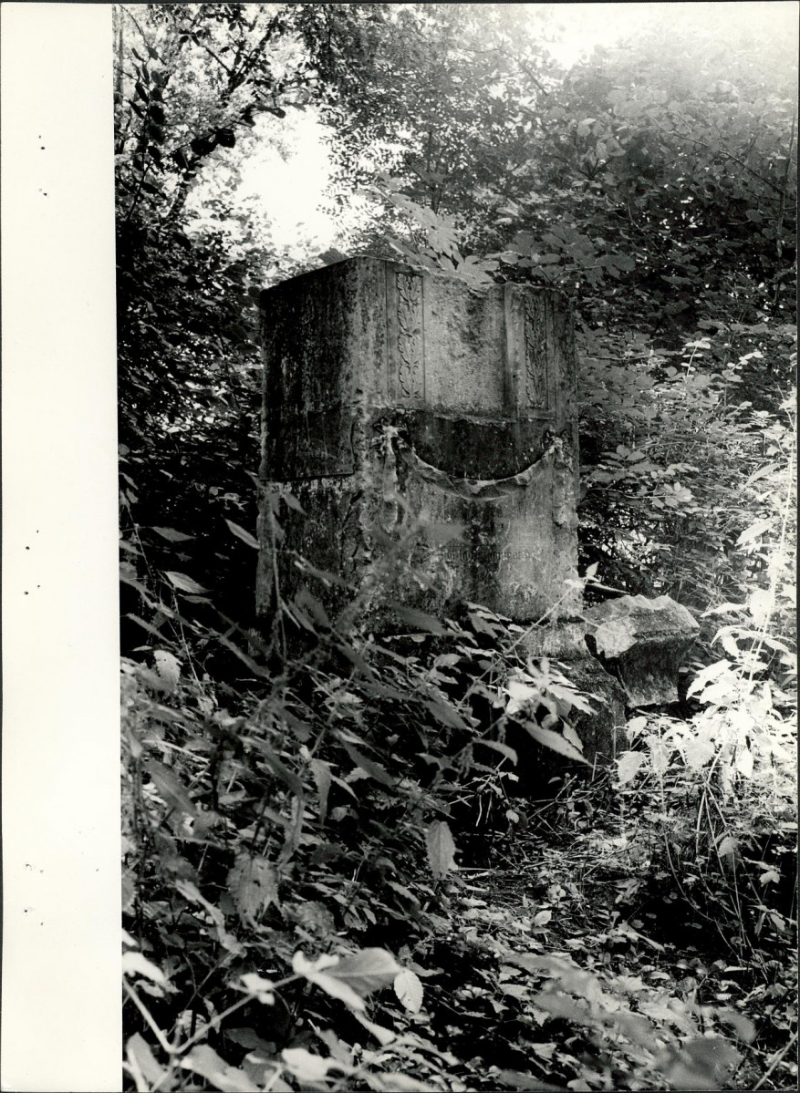 Ewidencja parkowa, skan nr 33